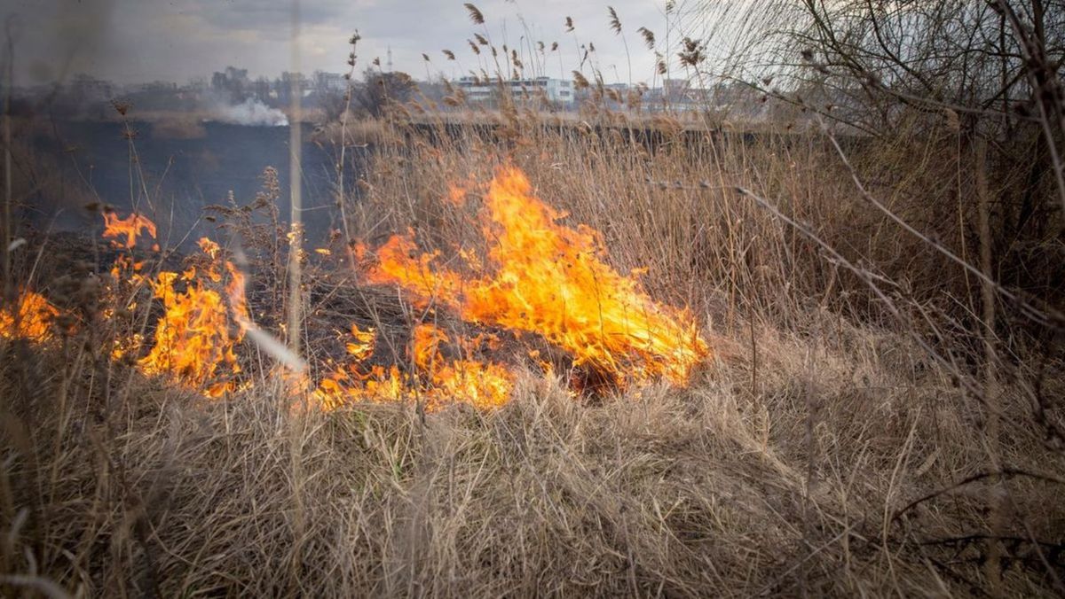 Incendii de vegetație în țară: În ultimele 24 de ore, flăcările au compromis peste 180 de hectare de teren