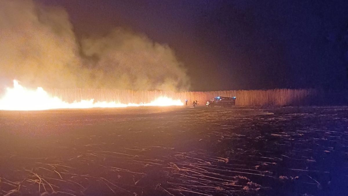 FOTO/ Incendiu de vegetație în lunca Prutului. Pompierii au luptat cu flăcările aproape nouă ore