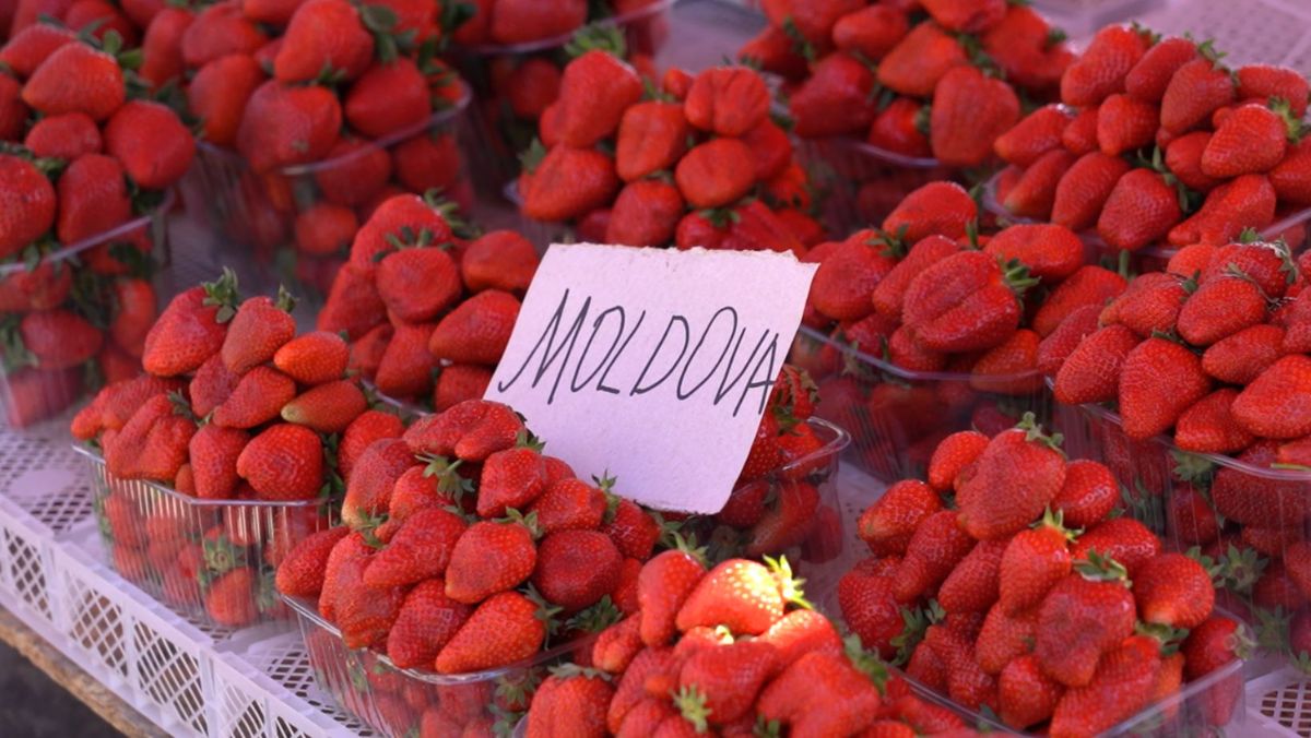 În piețele din Chișinău au apărut primele căpșune moldovenești. La Bălți, acestea se lasă așteptate