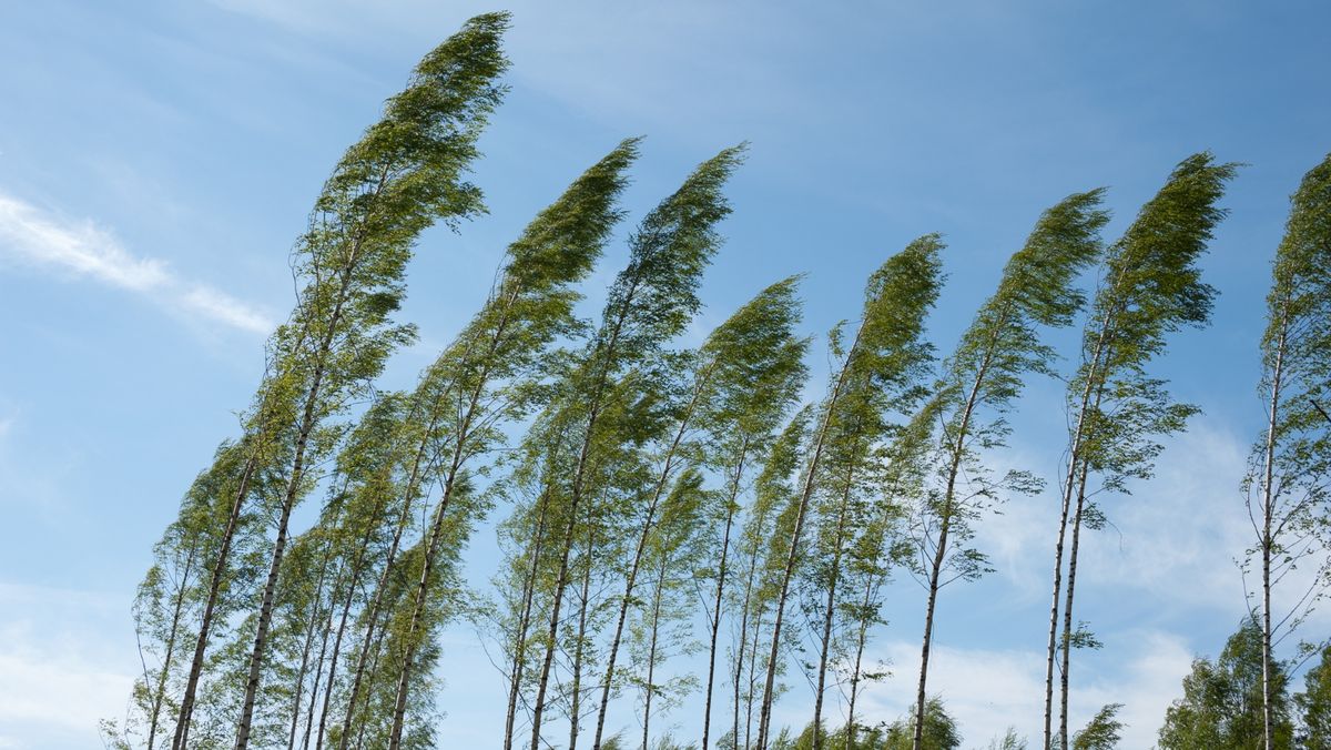Meteorologii au emis cod galben de intensificări ale vântului. Avertizarea, valabilă pe întreg teritoriul țării