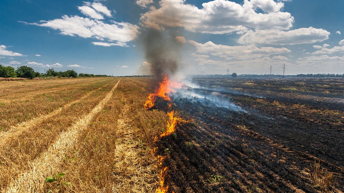 SHS a emis încă o avertizare meteorologică: Cod galben de pericol de incendiu cu caracter natural