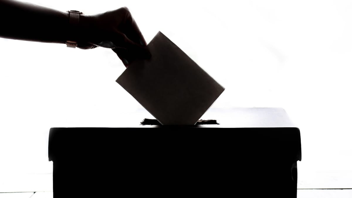 Moldovenii din diaspora mai au la dispoziție 15 zile pentru a se înregistra la votul prin corespondență