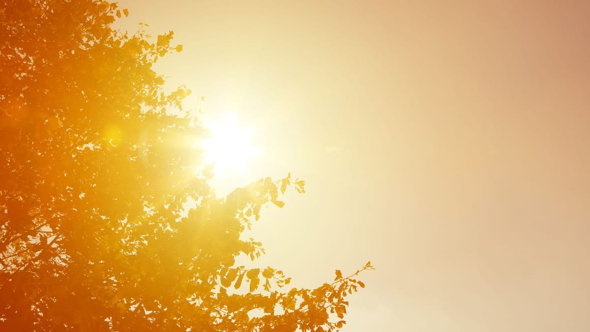 Codul galben de caniculă se extinde. Joi se vor înregistra maxime de peste +33°C