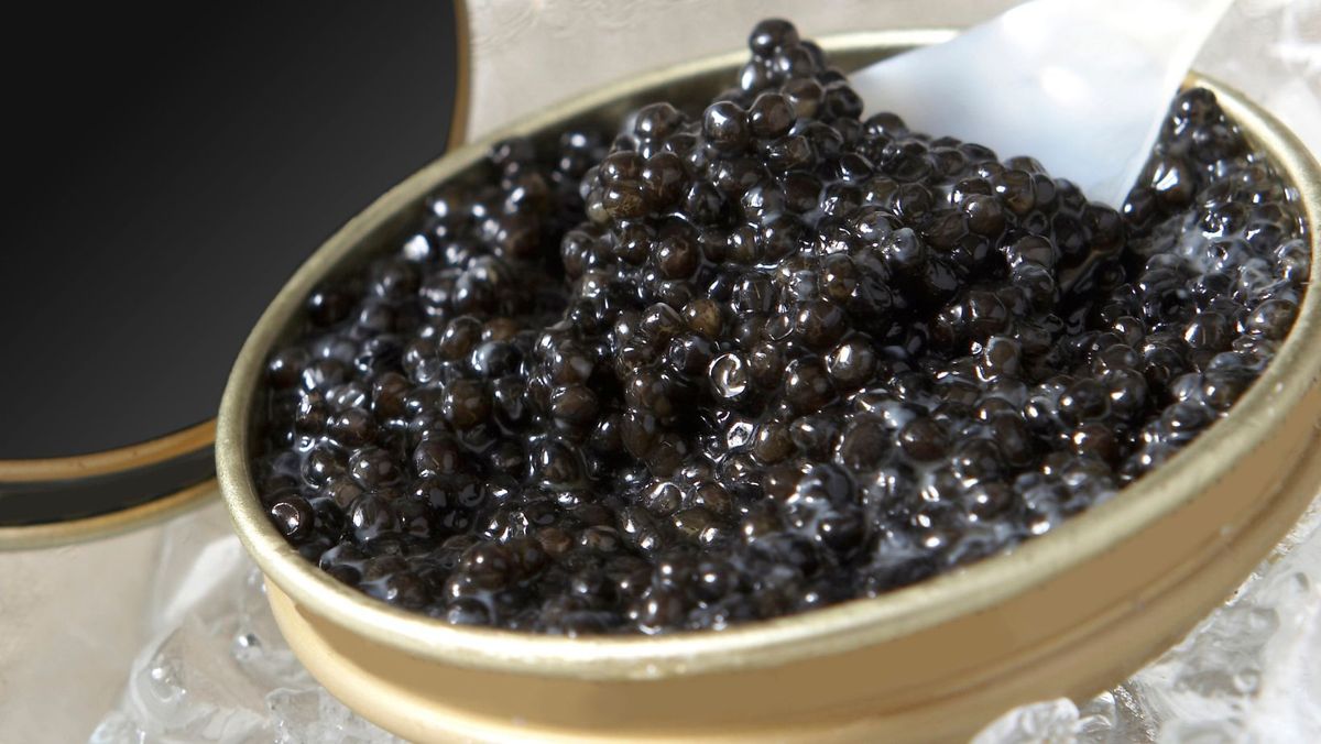 VIDEO/ În premieră, un producător din R. Moldova a obținut dreptul de a exporta caviar în UE