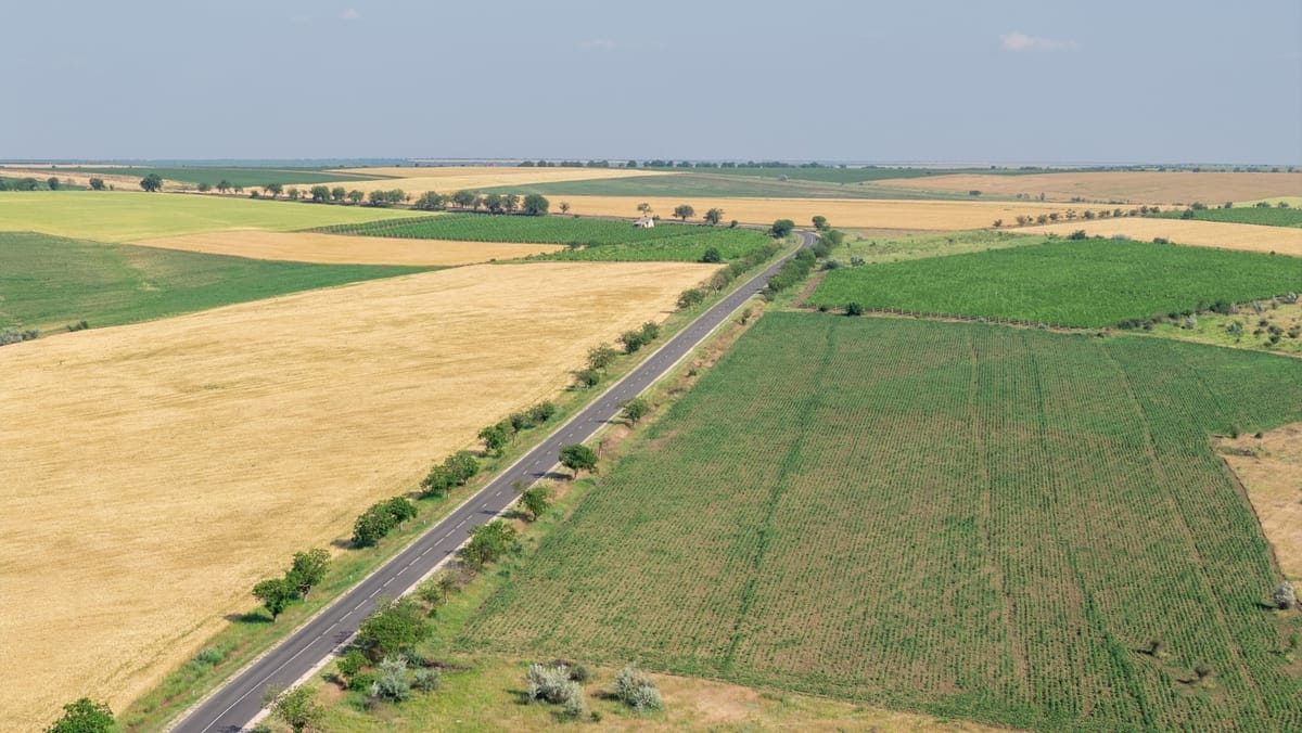 Vânt slab și maxime de până la 35°C. Prognoza meteo pentru ziua de 5 august
