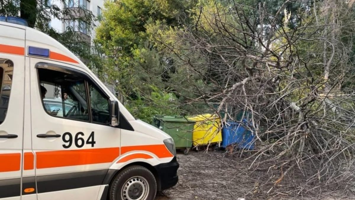 Copaci doborâți și clădiri descoperite. Salvatorii au efectuat peste 40 de misiuni în urma vântului puternic de ieri