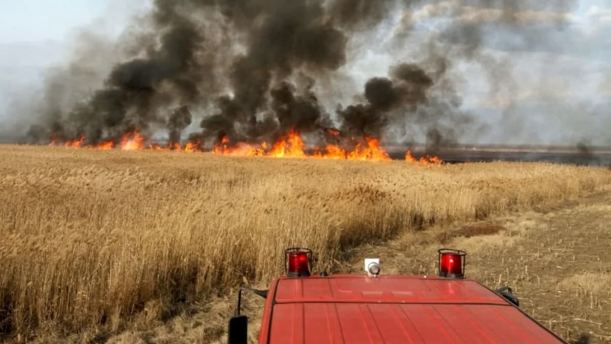 Atenție! Meteorologii au emis cod galben de pericol de incendiu