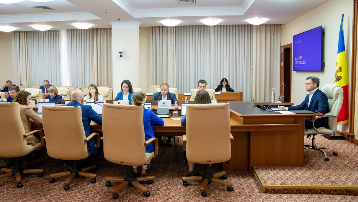 Șapte miniștri din Guvernul Recean și-au suspendat activitatea pentru a se implica în campania electorală
