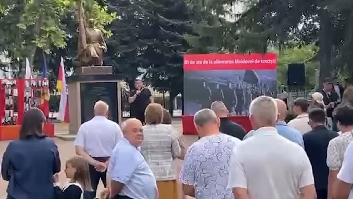 „Ești o canalie nerușinată, scrie lucrul ăsta”. Un observator Promo-LEX a fost intimidat de liderul partidului „Șansă”