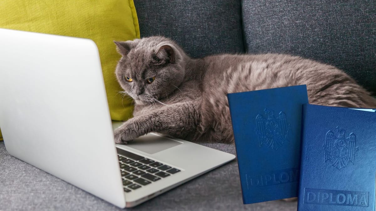 Actele de studii emise de instituțiile de învățământ din R. Moldova vor putea fi generate și verificate online