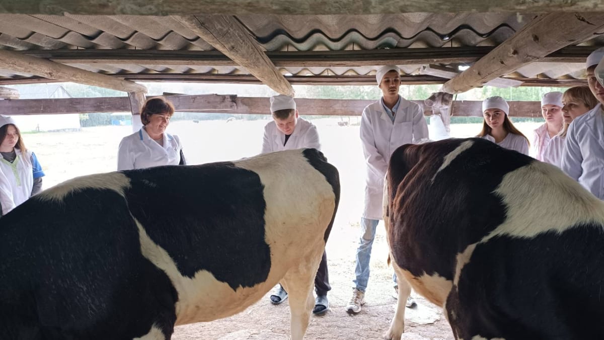 La Colegiul de Medicină Veterinară din Brătușeni va fi construită o fermă didactică pentru instruirea elevilor