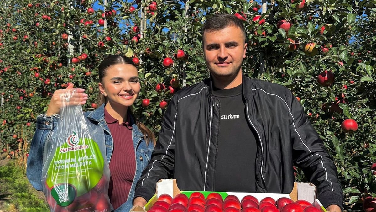 Merele moldovenești debutează pe piața nordică. Un producător din Briceni a expediat primul lot spre Islanda