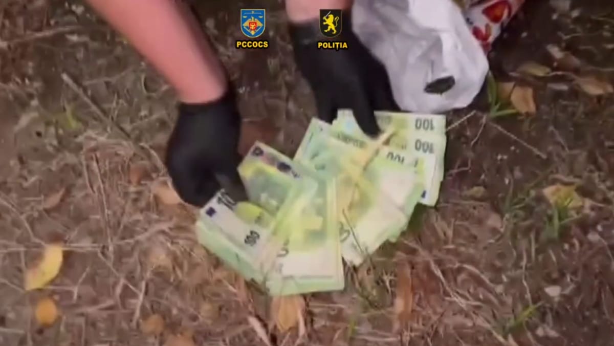 Euro falși, ascunși în apropierea instituțiilor administrative din Chișinău și raioanele învecinate. Doi tineri - reținuți