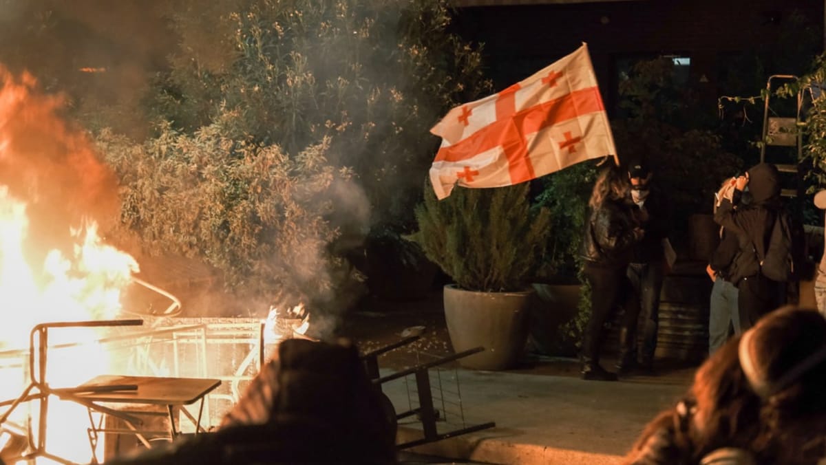 Proteste violente în Georgia. Manifestanții au încercat să intre în palatul prezidențial din Tbilisi