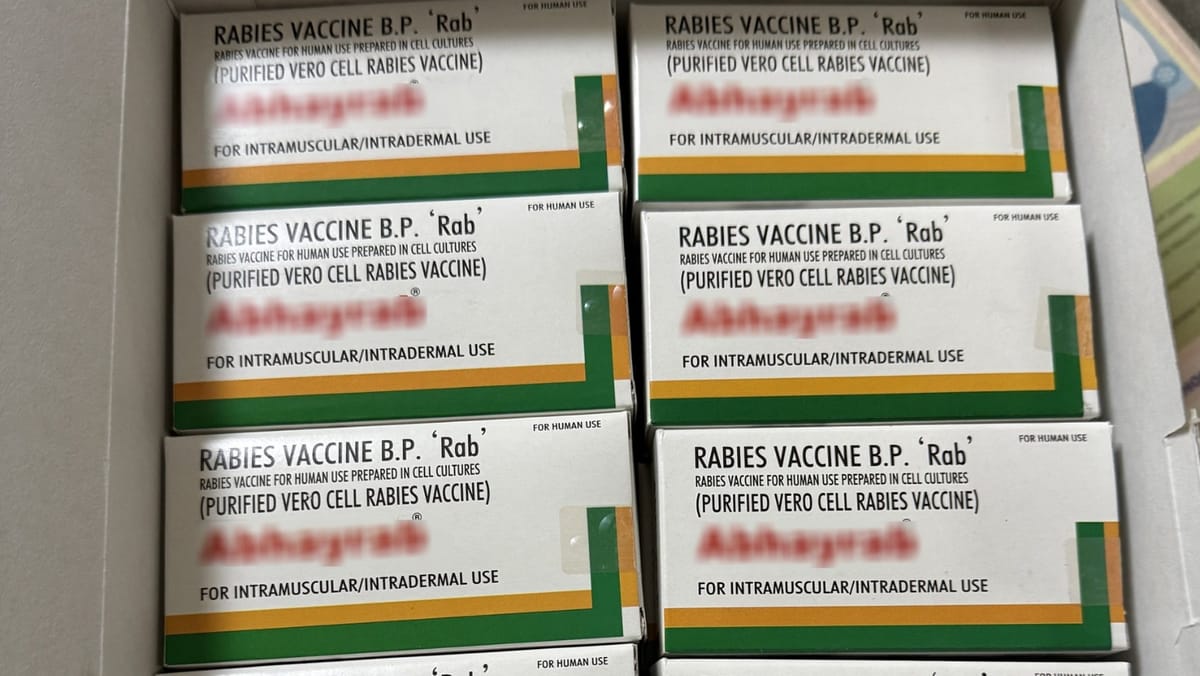 R. Moldova a recepționat ultimul lot de vaccin antirabic din acest an