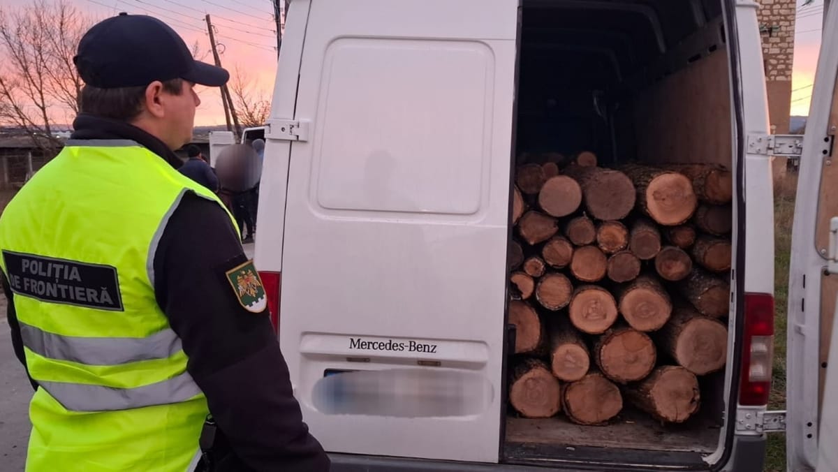 Un bărbat din Ungheni, prins că transporta ilegal circa cinci metri steri de lemn: A fost sancționat cu 2.500 de lei