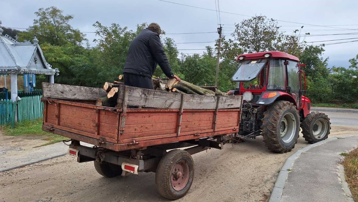 Inspectorii de mediu din Nisporeni au aplicat amenzi în valoare de peste 17 mii de lei pentru transport ilegal de lemn