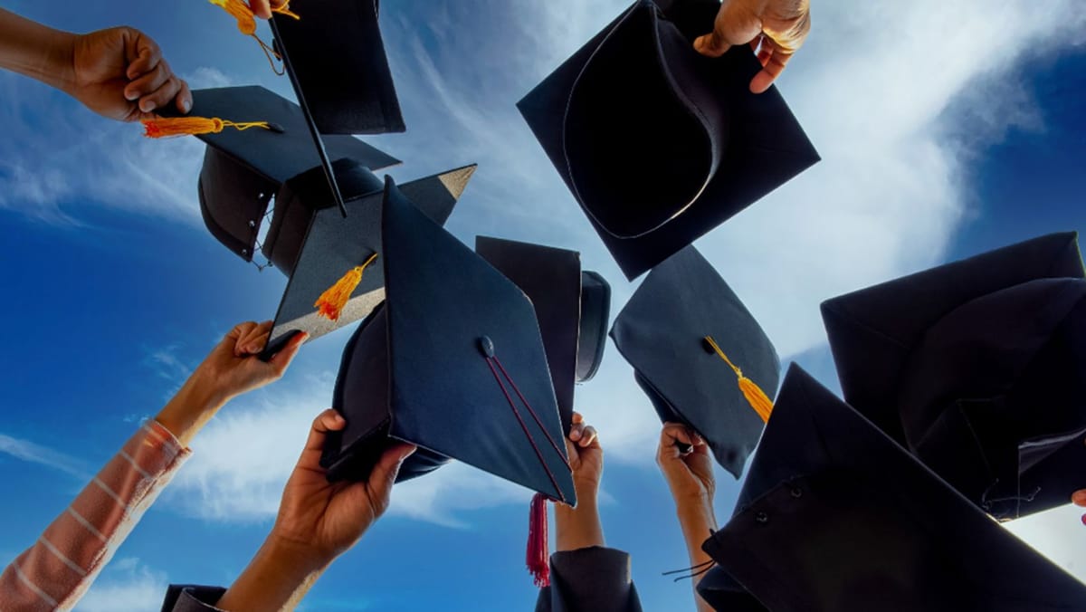 Guvernul a aprobat planurile de admitere la studii superioare de doctorat și la programe de postdoctorat