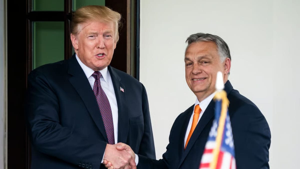 Viktor Orban și Donald Trump se vor întâlni pe 7 noiembrie la Washington