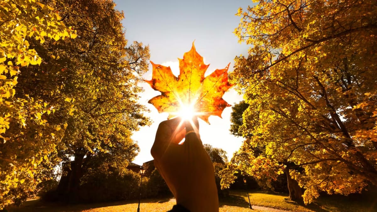 Temperaturi blânde și cer variabil în toată țara. Prognoza meteo pentru ziua de 29 octombrie