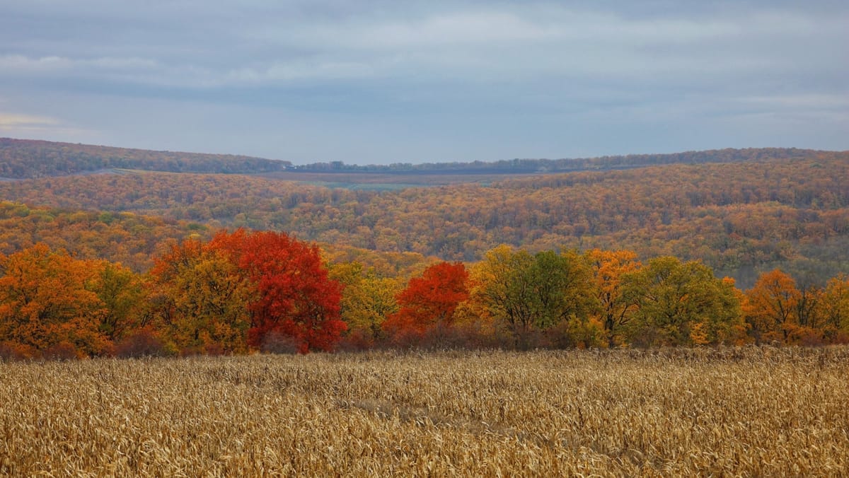Cer noros și ploi în mai multe raioane ale țării. Mercurul din termometre urcă până la +15 grade Celsius