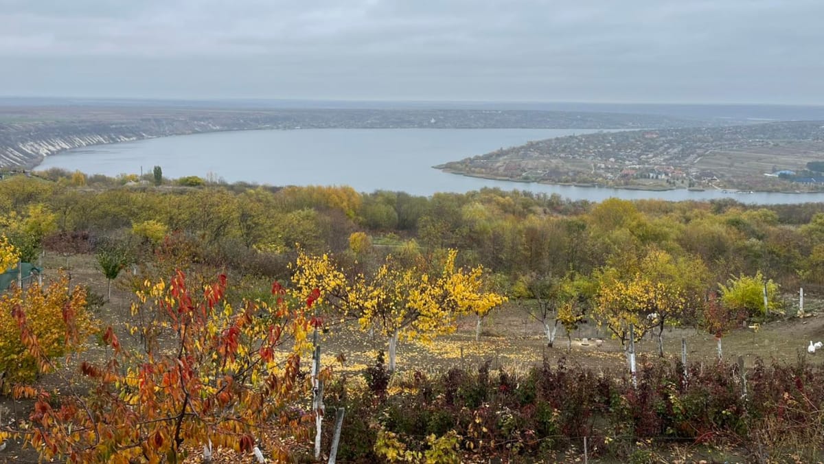 Cer noros, vreme fără precipitații și maxime de +15 grade Celsius