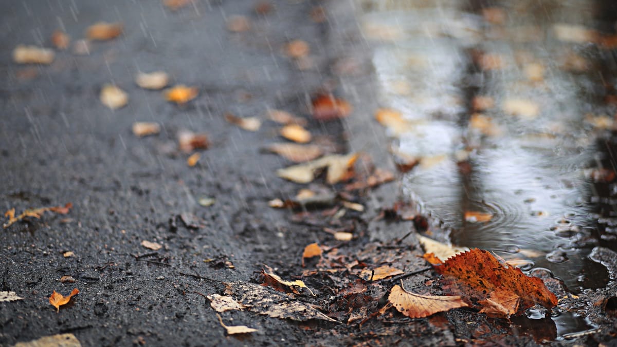 Cer variabil și ploi puternice în unele raioane. Mercurul din termometre va indica până la +14 grade Celsius