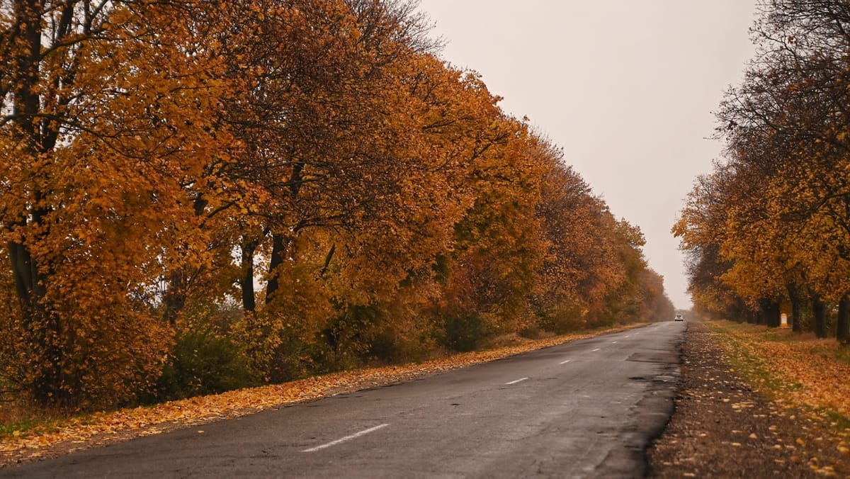 Vremea se răcește simțitor. Pe 18 noiembrie, în mai multe raioane vor cădea ploi slabe