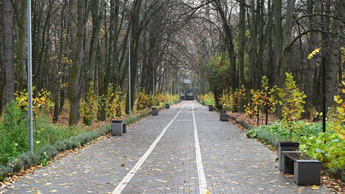 Vreme posomorâtă în toată țara. Pe 20 noiembrie, temperaturile maxime urcă până la +12 grade Celsius