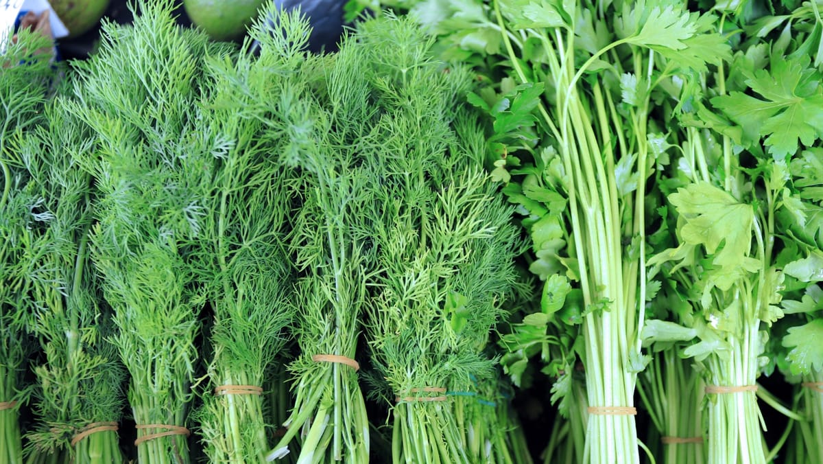 Cincisprezece tone de mărar și pătrunjel proaspăt de import, nimicite de ANSA: Conțin cantități mari de nitrați