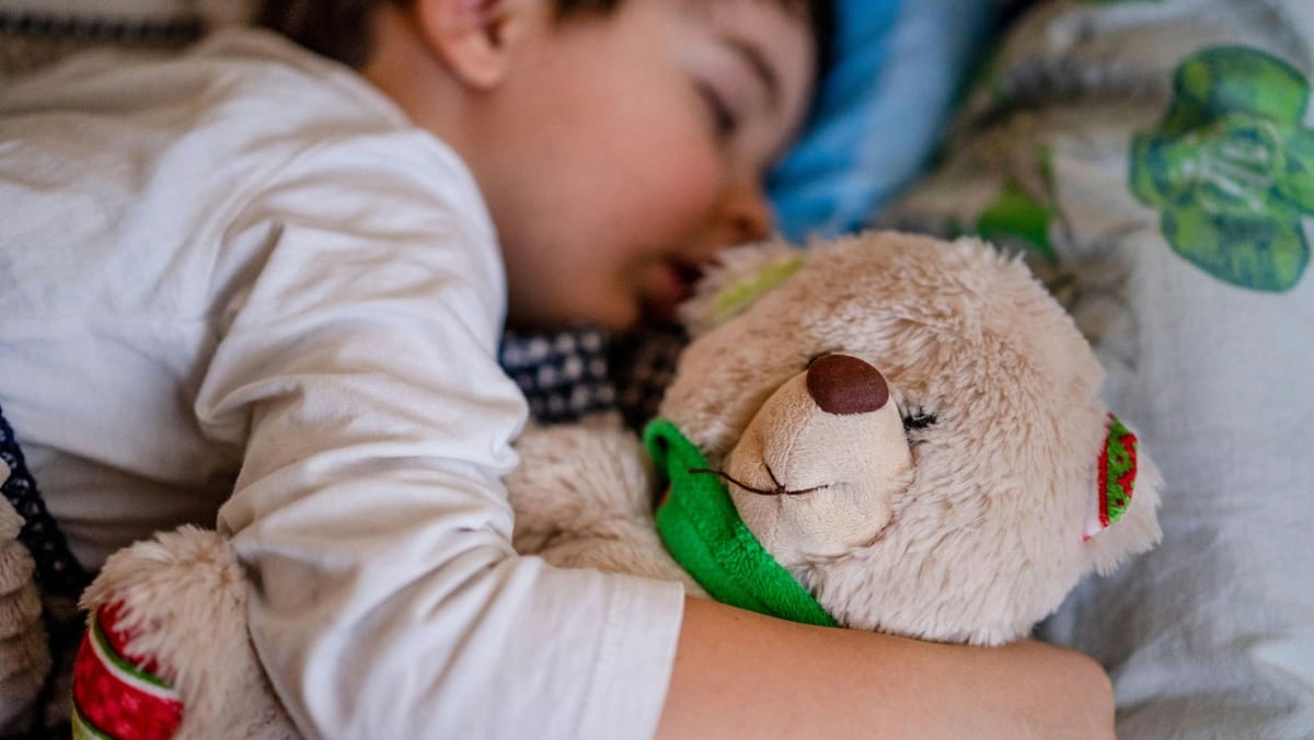 Irlanda alocă un milion de euro pentru copiii și familiile vulnerabile din R. Moldova