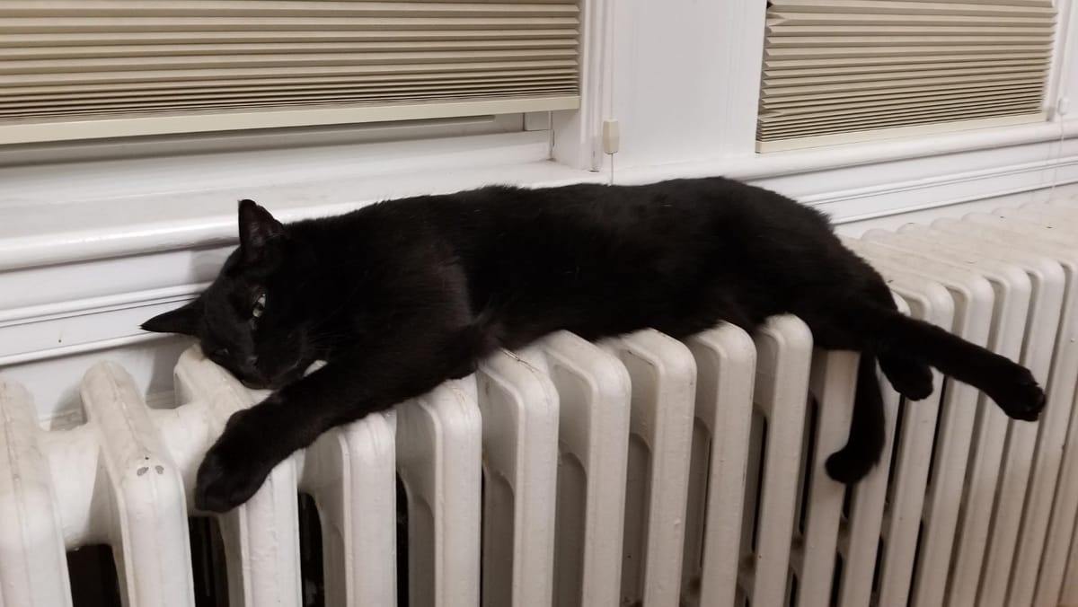 Circa 780 de mii de moldoveni au solicitat compensații la energie pentru luna noiembrie