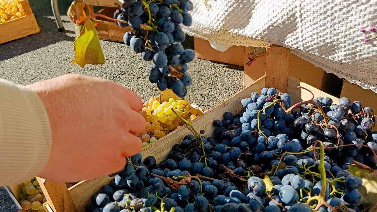 În trei sectoare ale capitalei sunt organizate târguri cu produse autohtone