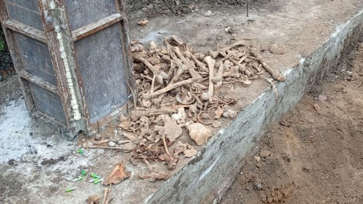 În stânga Nistrului a fost descoperită o groapă comună cu rămășițele a peste 50 de persoane