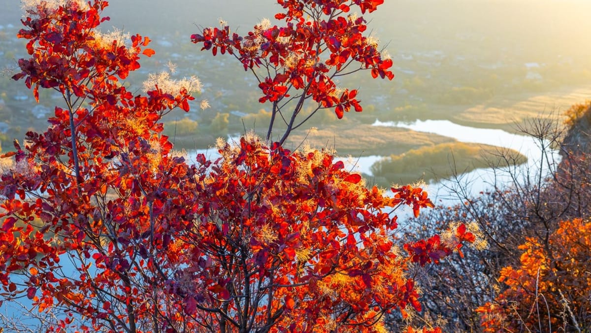 Cer noros în toată țara și maxime de până la +15°C. Prognoza meteo pentru prima zi de weekend