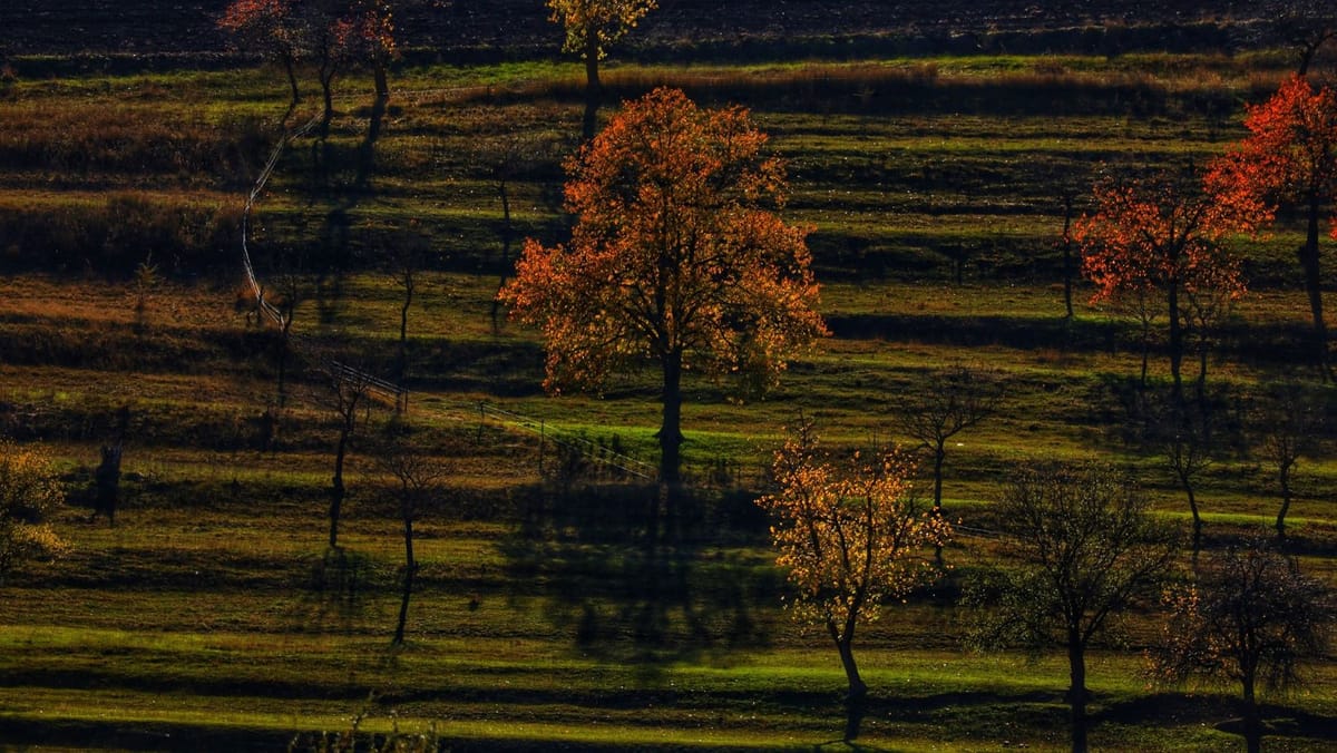 Maxime de +17°C în mai multe raioane ale țării. Prognoza meteo pentru ziua de 26 noiembrie