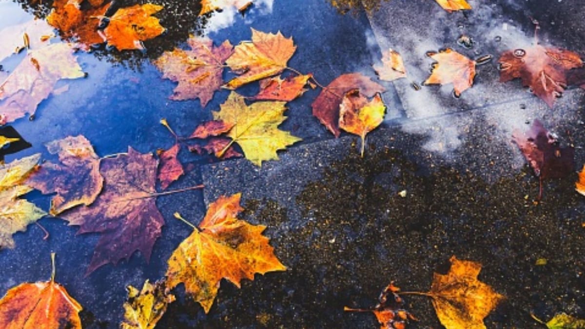 Cer noros și ploi slabe în mai multe zone ale țării. Prognoza meteo pentru ziua de 27 noiembrie