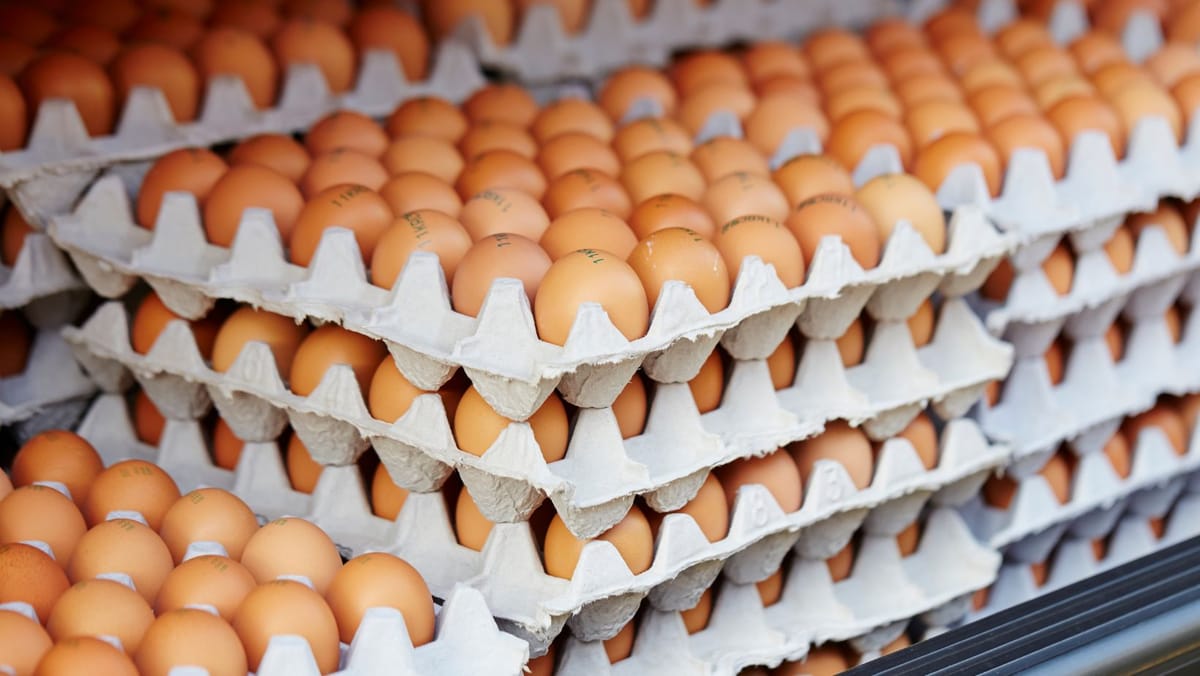 În R. Moldova s-au scumpit ouăle. Creșterea prețului, determinată de cererea mare pe piața UE