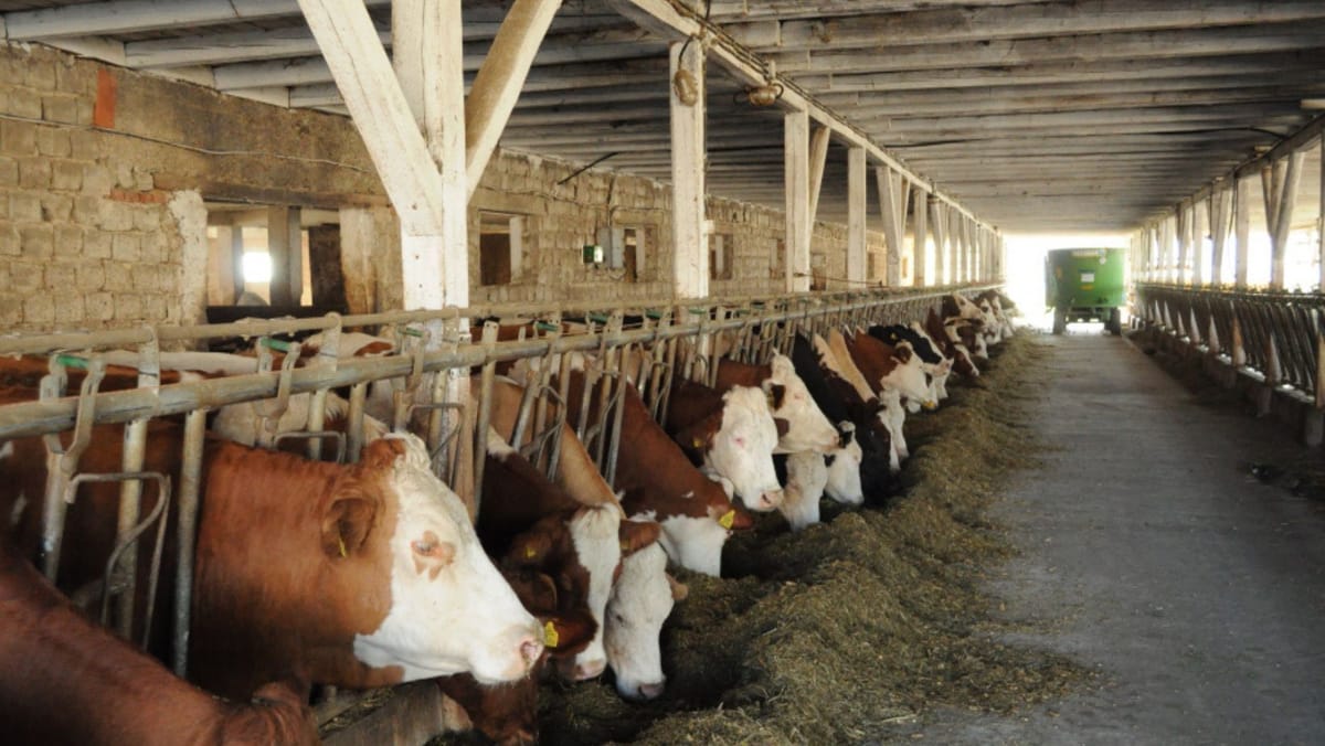 Fermierii din R. Moldova pot obține până la un milion  de dolari pentru modernizarea fermelor