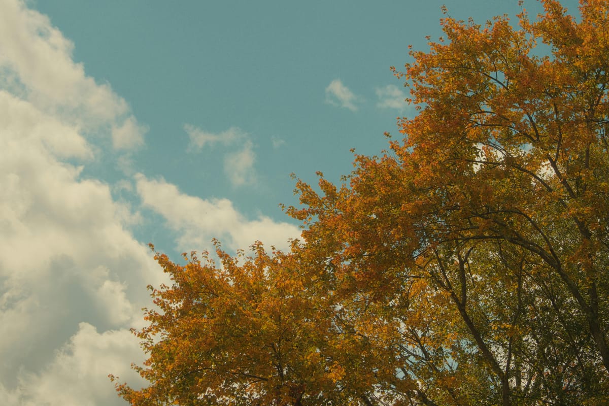 Cer predominant noros în toată țara. Mercurul în termometre va urca până la +15 grade Celsius