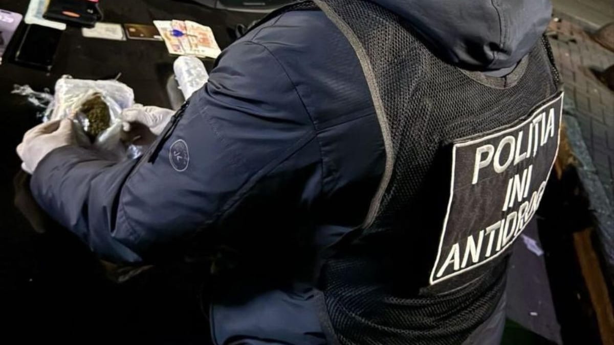 Grupare specializată în trafic de marijuana, destructurată la Chișinău: Doi suspecți au fost plasați în arest pentru 30 de zile