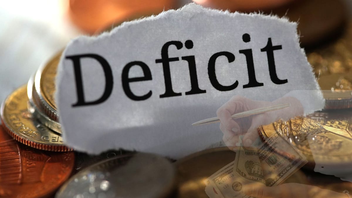 Bugetul pentru anul 2025, rectificat. Guvernul redirecționează o parte din banii destinați agricultorilor și drumurilor către sfera socială