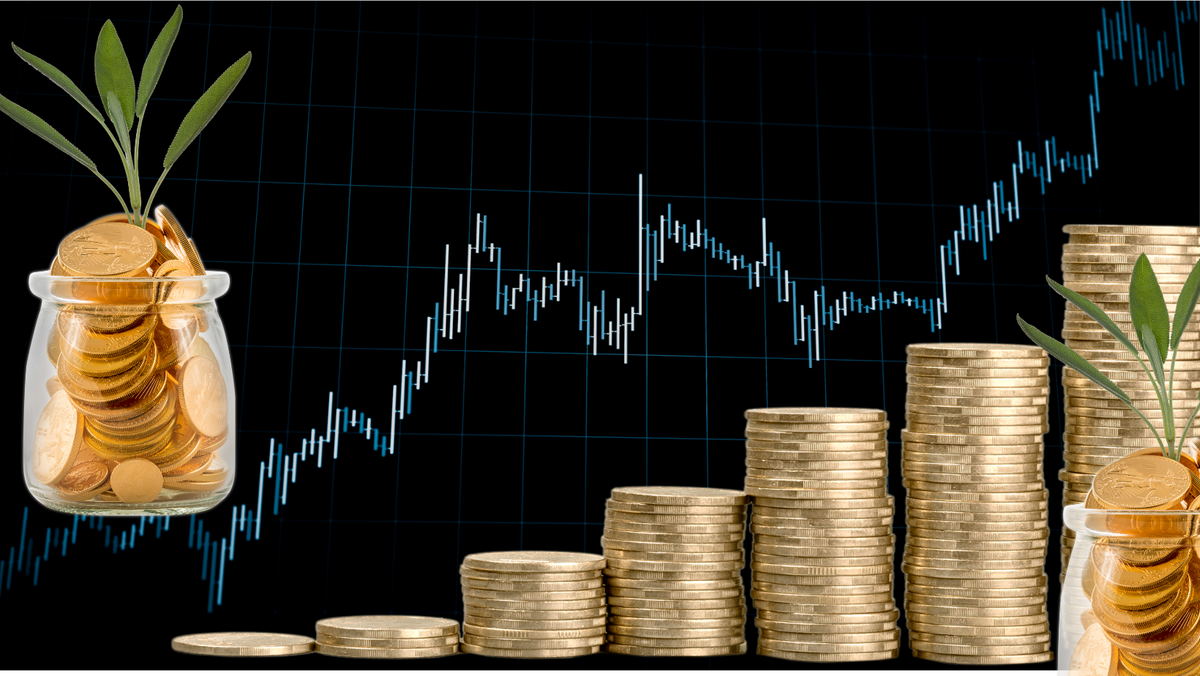 Încasările la Bugetul public național, în creștere cu 13,8 la sută în primele zece luni ale anului 2025