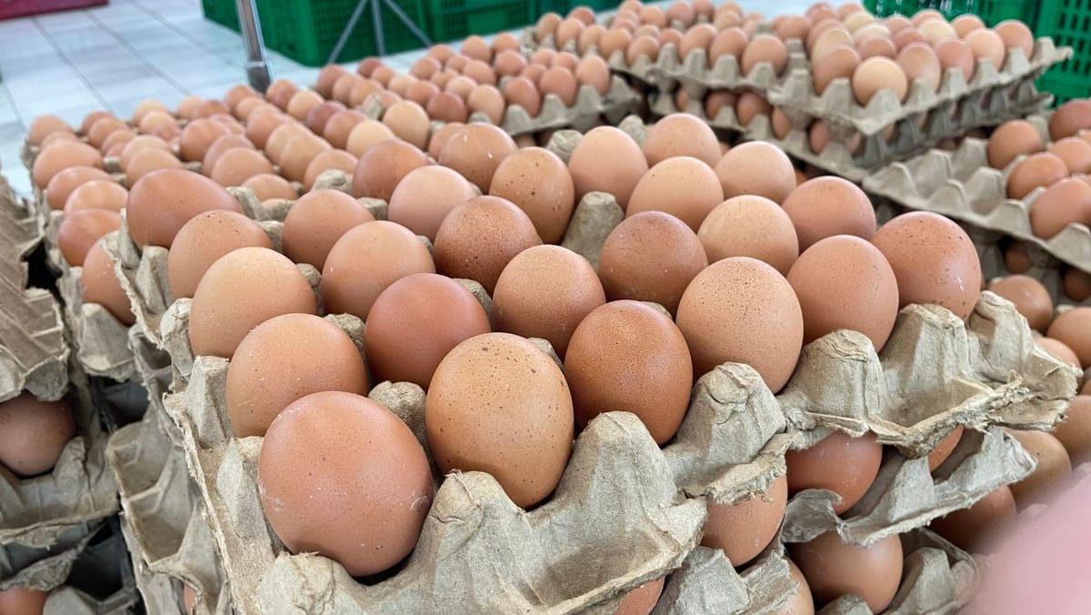 Ministerul Agriculturii a sesizat Consiliul Concurenței în legătură cu explozia prețului ouălor