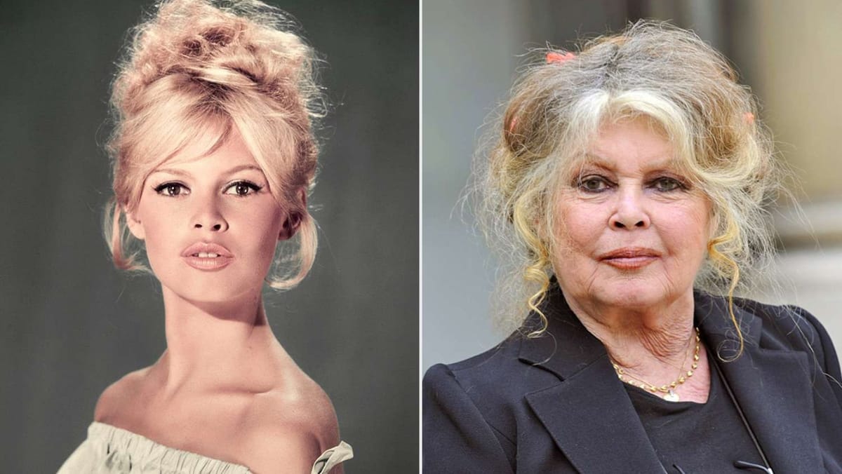 Brigitte Bardot a murit la 91 de ani. Actrița care a renunțat la faimă pentru a apăra animalele