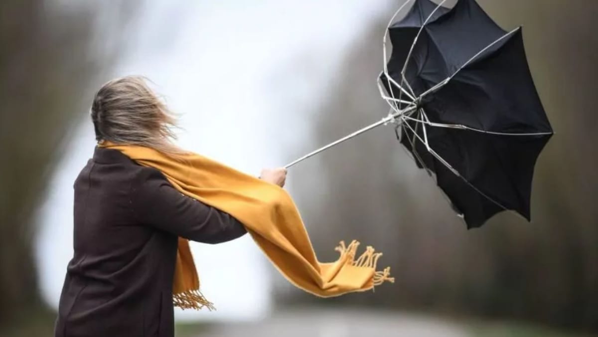 Cod galben de intensificări ale vântului: avertismentul emis de meteorologi