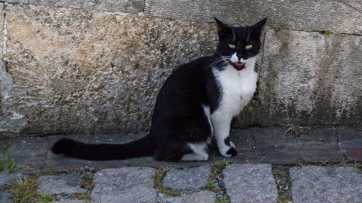 Cer variabil și maxime de până la +9°C. Cum va fi vremea pe 15 decembrie