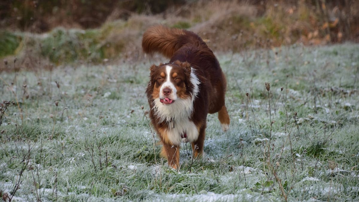 Maxime diurne de iarnă blândă și cer variabil. Prognoza meteo pentru 17 decembrie