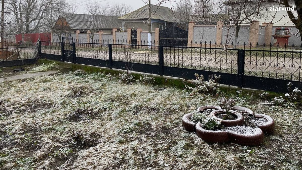VIDEO/ În mai multe localități din  R. Moldova ninge