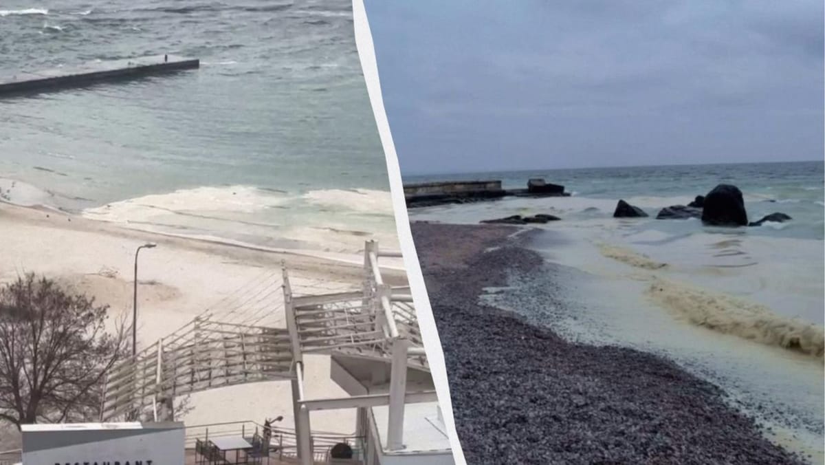 VIDEO/ Poluare în Marea Neagră, regiunea Odesa. Păsările afectate sunt salvate de voluntari